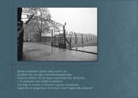 Ferrarisauschwitz02