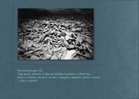 Ferrarisauschwitz17