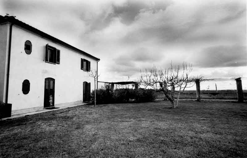 vincenzo1