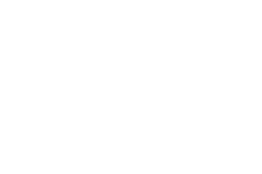 2010
