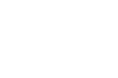 2009